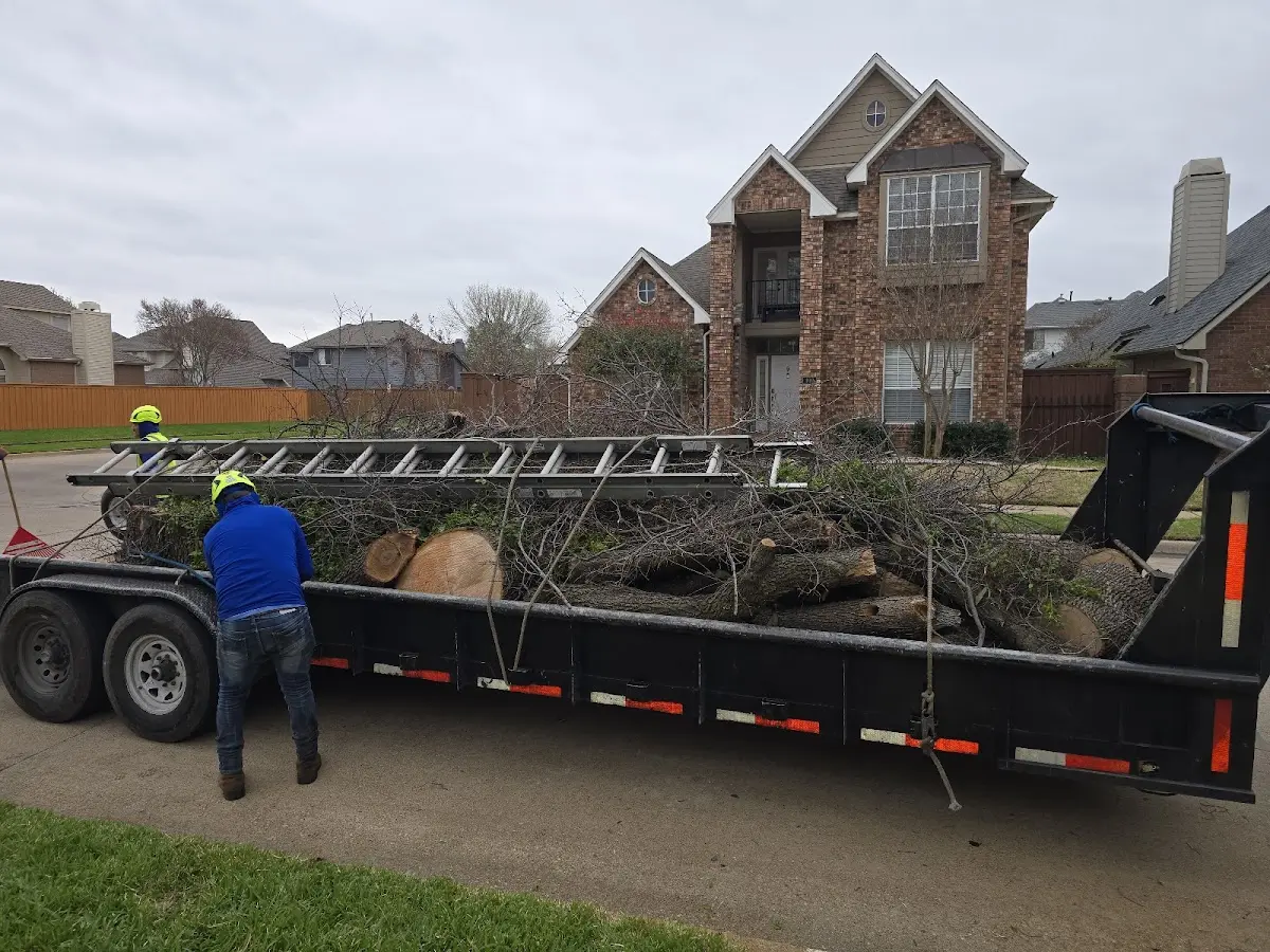 Expert Lot Clearing with proper safety equipment in Idamay